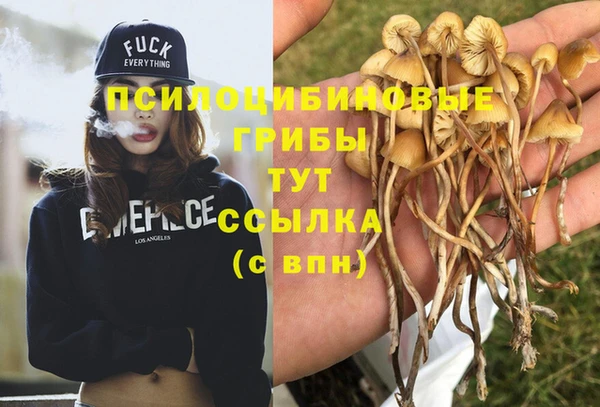 шишки Протвино